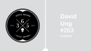 Day 263 365 YoYo Trick