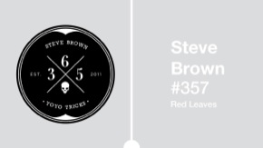 Day 357 365 YoYo Trick